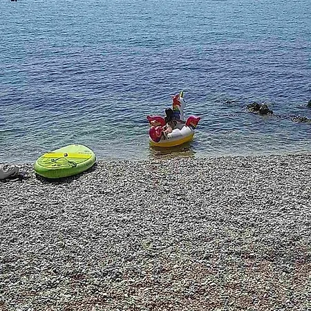 M 公寓 奥瑞比克